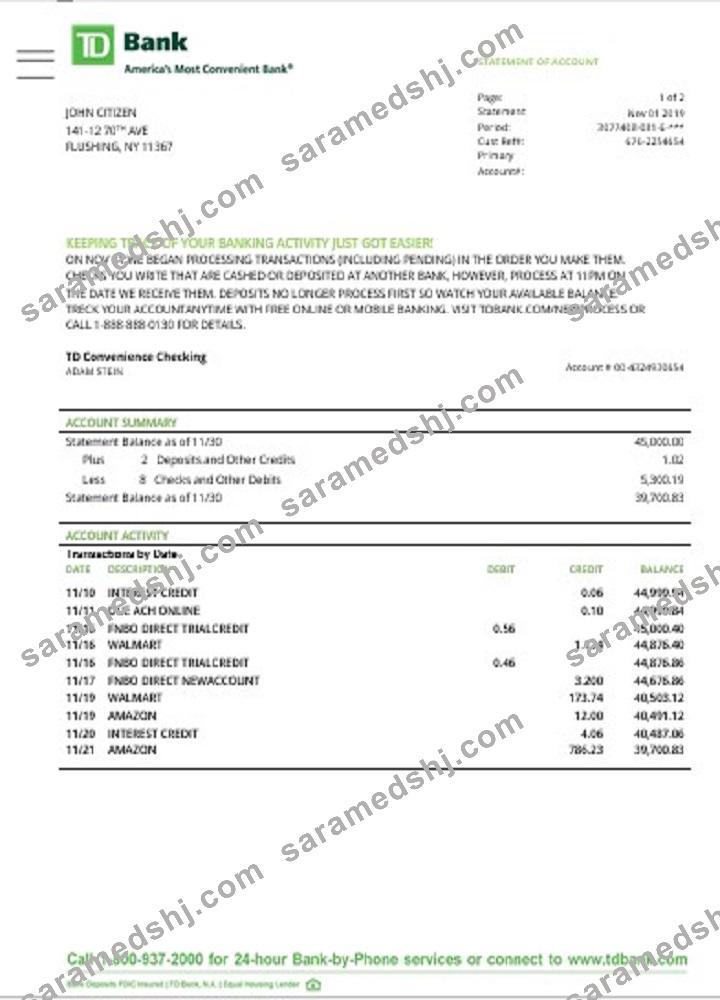USA TD bank statement